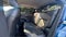 2024 Nissan KICKS 5P PLATINUM E-POWER HEV L31.2 AUT